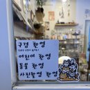 수원 냥책방 독립서점 고양이 관련 행궁동소품샵