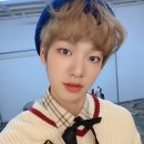 엠씨엔디 카카오 검색결과