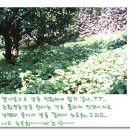 주식농장 이미지