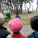 파인우드비치 이미지