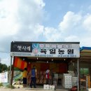 육일농원 이미지