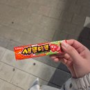 방배로20길 25-23 | 25. 언젠가 사라져버릴 당신과 나를 영원히 사랑하기 위해 이 소설을 썼습니다.