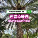 한밭어린왕자 | 대전 한밭수목원 열대식물원 다육식물원 후기 (실내 가볼만한 곳 추천)