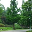 영흥체육관 이미지