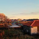 하도 조은 이미지