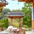 화림원