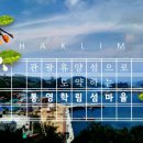 학림섬정보화마을 이미지