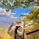 GS25가좌공단 | 계룡산 단풍시기 2025 등산코스 소요시간 주차정보 총정리