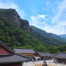 동해삼화동고려고분 | 국내 역사여행지 추천Ⅰ①삼척 가볼만한곳 무릉계곡 삼화사 수륙재와 보물 철조불상 탐방기