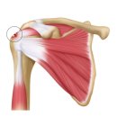 문화연세의원 이미지