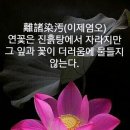 여몽 이미지