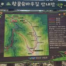 거북바위회식당