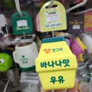 레드애견용품점