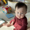(주)티비스켓 | 220216 D+292 김꼬북이 인생289-292일차(소면 촉감놀이, 구스켓힙시트, 액티비티 가든)
