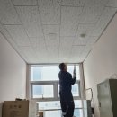 동구보훈복지회관 | 부산초량동천장텍스교체 부산시 동구 초량동 부산보훈·복지회관 내부천창텍스교체 누수파손천장텍스...