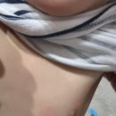 주인숙의원 이미지