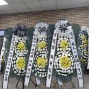 근조화환꽃배달관엽식물