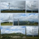 쌍용목장 이미지