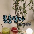 봄을담아 이미지