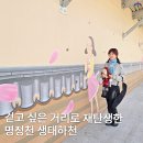 걷고싶은거리 | 이제는 걷고 싶은 거리로 재탄생한 명정천을 다녀와서
