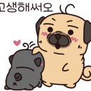 올리스24 명지점 이미지