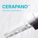 (주)씨앤티 이미지