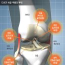 글루코사민과 무릎건강 이미지