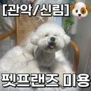 애동유치원 | [관악/신림] 찾아갈만한 애견 미용 맛집! 펫프렌즈 애견미용&amp;호텔
