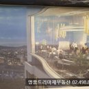 명품트리마제공인중개사사무소 이미지