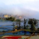 밝은마음 이미지