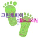 양지크리닝 | 월드크리닝 세탁 가격, 품질, 진짜 크린토피아 보다 좋은가?