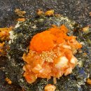 여기 좋아 이미지