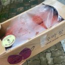 (22.6.25.) 🍠625^2 day기념 🍠고구마왔슈 ; 뚜레쥬르, 명가부산밀면 물금점