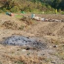 황금터부동산중개사무소 이미지