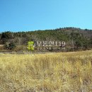 전남 고흥군 동일면 덕흥리 / 임야 야산, 수련원용지 청소년수련장용지 캠핑장부지 산소자리 별장용지 명당묘지용지 / 1 이미지