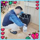 실버넷 | 25.10.22 수요일 고양시 덕양구 행신동 착한요양원(소독)