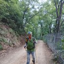 제 1,139회 수요산행(봉화산)^^ 이미지
