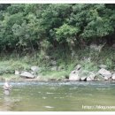 산내들민박 이미지