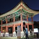 나무선비