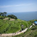 남해-117 이미지