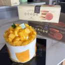 대우일렉서비스(주) 대전센터 | 성심당 망고시루 구매후기 딸기시루 비교 대전에는 성심당 말고 머잇나 성심당있지