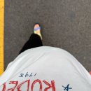 효성평생건강센터 | 34주 임당 임산부 대구 효성병원 막달검사 후기