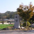 백하