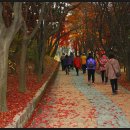 승전축산 이미지