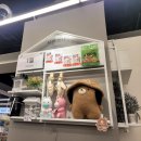 뷰티반려문화 | 동대문역사문화공원역 다이소 던던 동대문점 리뷰