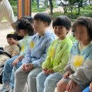봉제산 유아숲체험원 이미지