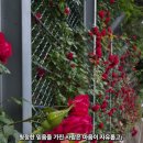 믿음