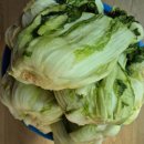 흥농(주)농업회사법인 | [2025년 김장준비] 절임배추 &amp; 순천 더나은김치 양념장 솔직 후기