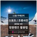 [기초사진주제강의] 망원렌즈 활용법 이미지