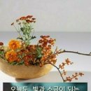 빛과 소금이 되는 하루, 이미지